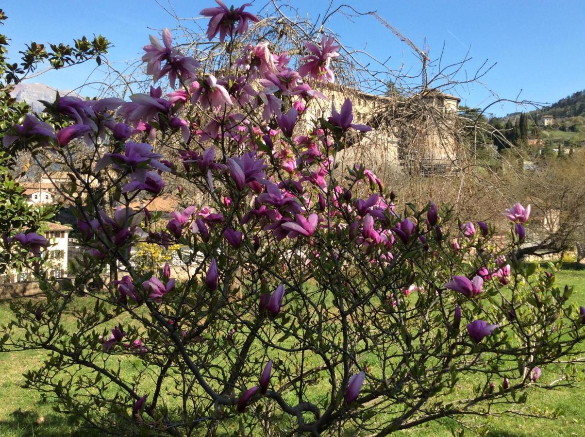 Vista Castello Bed and Breakfast Rovereto  Buitenkant foto