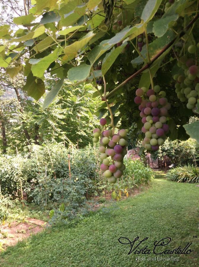 Vista Castello Bed and Breakfast Rovereto  Buitenkant foto