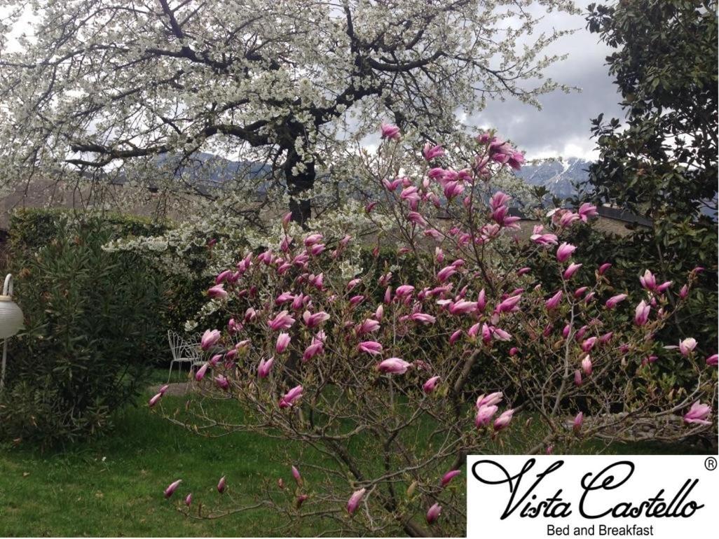 Vista Castello Bed and Breakfast Rovereto  Buitenkant foto
